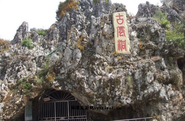 ŷ綴