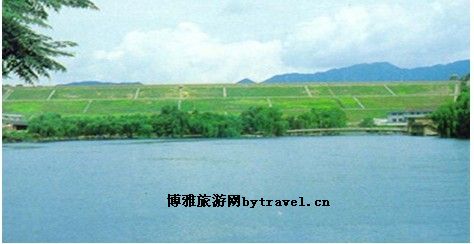 芙蓉龙虾仔粒