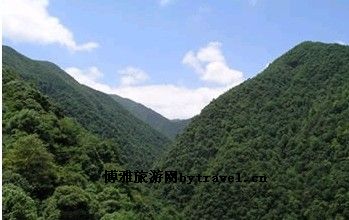 沙角洞银杉森林公园
