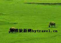 龙胜南山草场