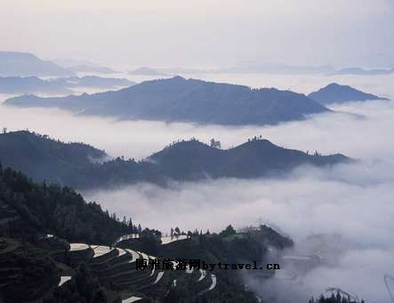 黄桑-石峰