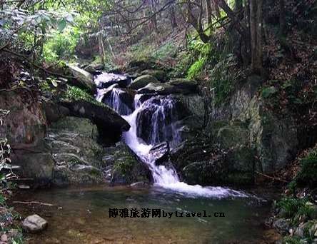 流莺谷