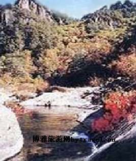 干锅土匪鸭