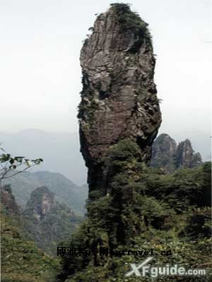 莽山国家森林公园