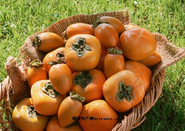王村红柿