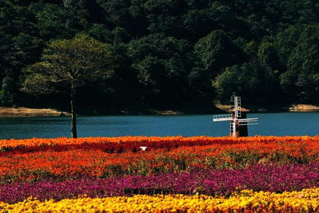 石门国家森林公园