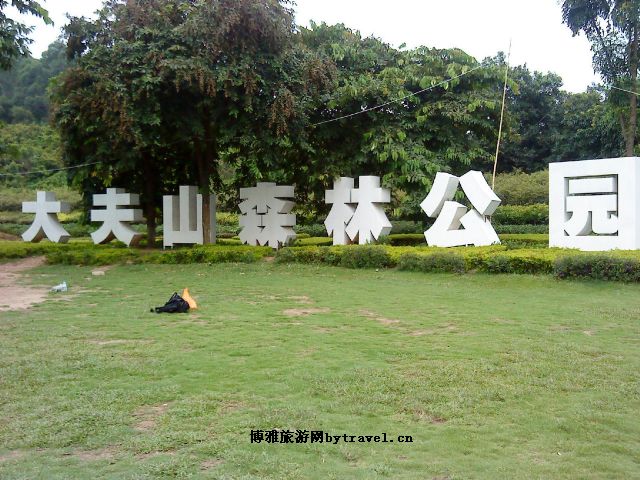 大夫山