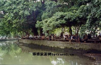 南湾村