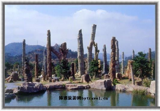 仙湖植物园