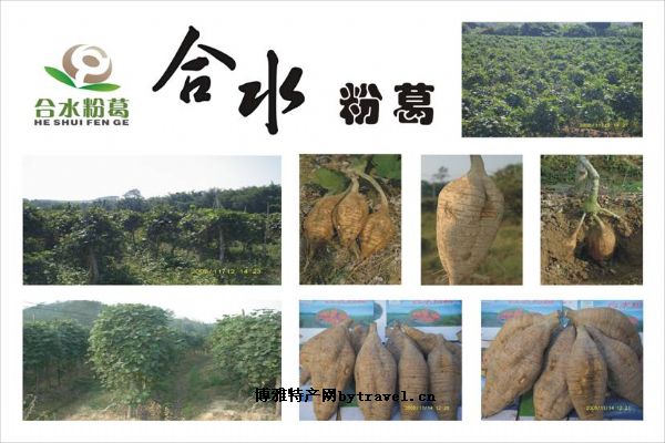 合水粉葛