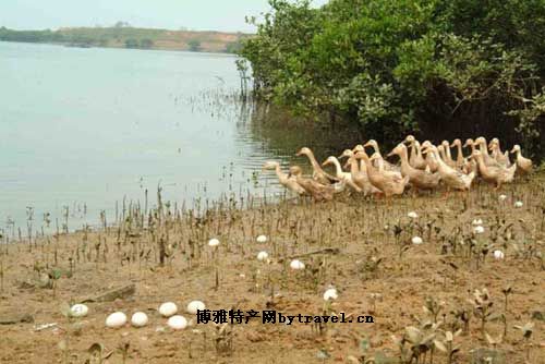 廉江裹蒸粽