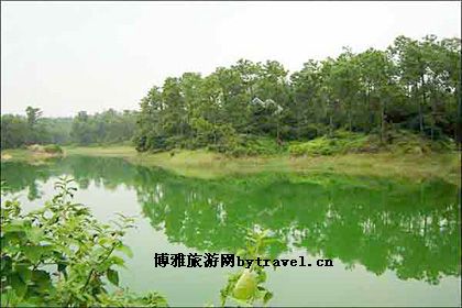 三岭山国家森林公园