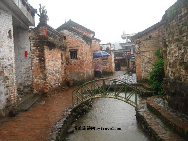 金林水乡