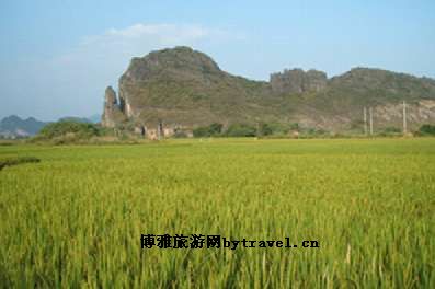 龙岩