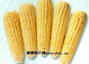 算盘子