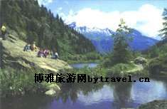 八乡山茶