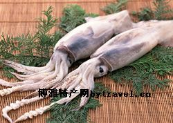 金厢鱿鱼