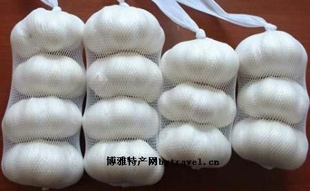 河源火蒜