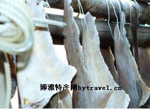 东平鱼翅