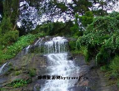 五指山百花岭