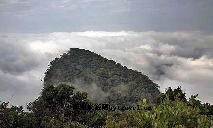 阿陀岭森林公园