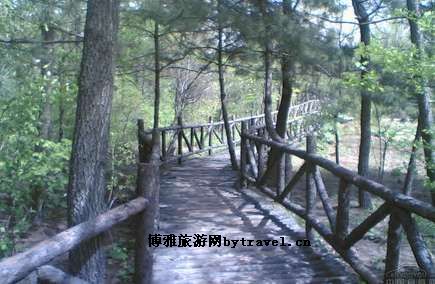 海南第一橡胶园