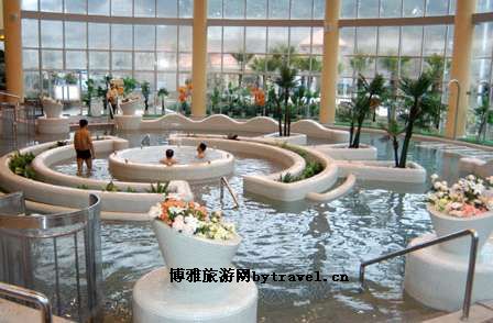 宗地紫皮大蒜