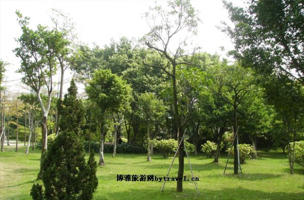 毕节天河公园