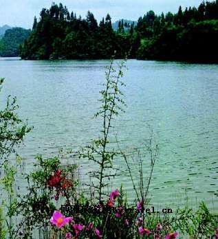 欧家湾垂钓公园景区