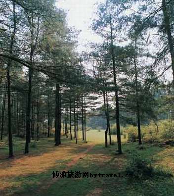 仙鹤坪自然保护区
