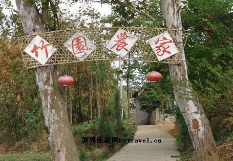 绿荫村