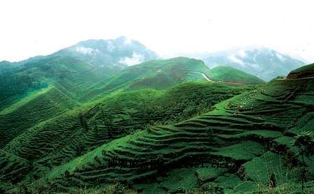 晴隆山草场