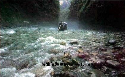 金堂紫薯
