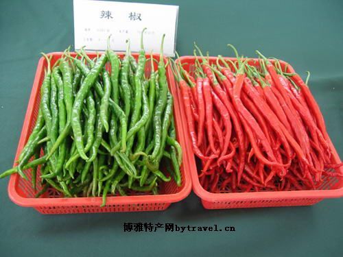 “二荆条”海椒