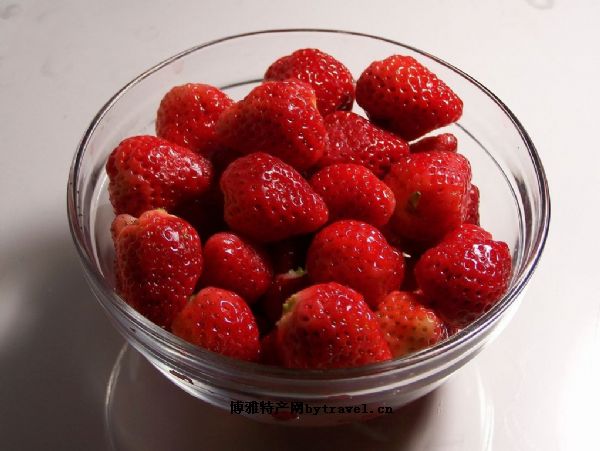 双流冬草莓