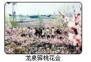 龙泉花果山