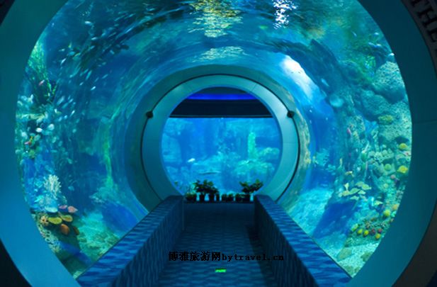 成都海洋馆