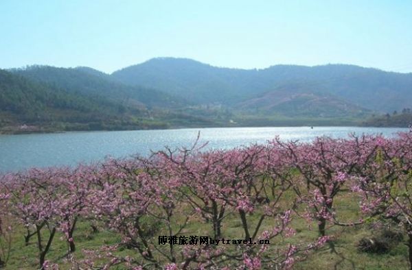 攀枝花海塔