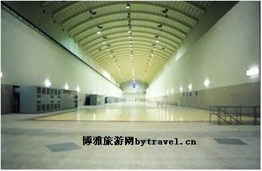 米易何首乌