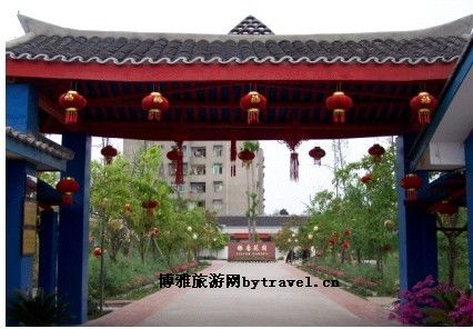 银杏花园