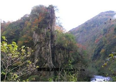 绵阳泗洱自然保护区