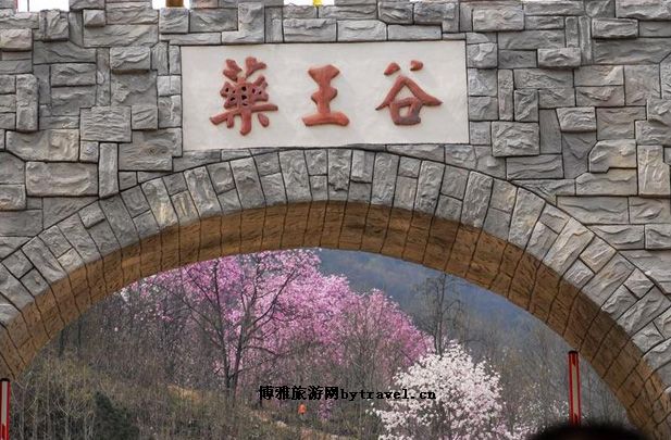 药王谷