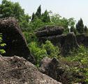 寻龙山风景区