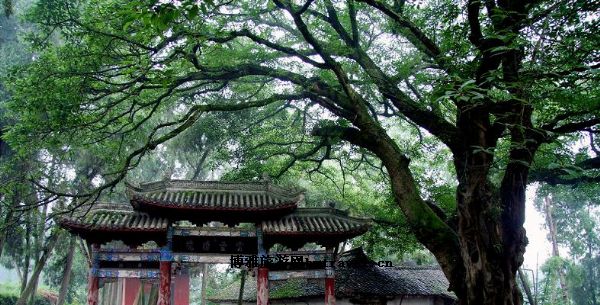 四川绵阳三台县菊河乡地图