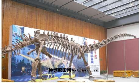 井研马门溪恐龙