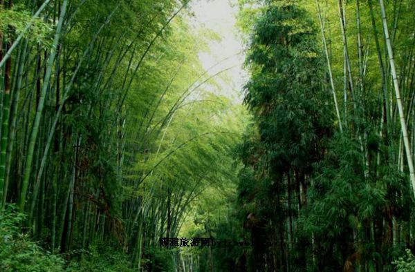 五峰山森林公园