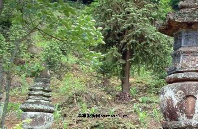 佛头山森林公园