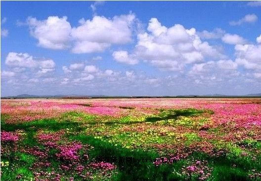 花湖