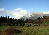 扎如沟区段