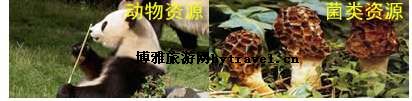 宝顶沟自然保护区